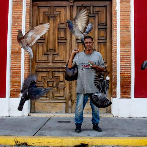Photo #13706255