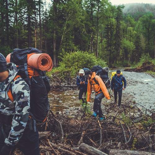 Photo #13706307