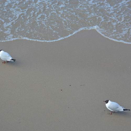 Photo #13706319