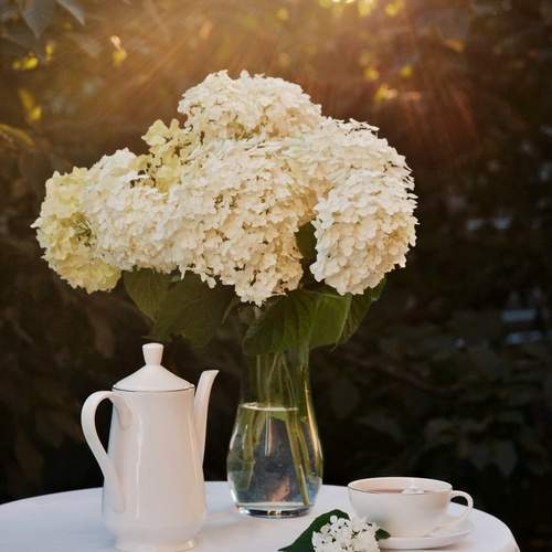 Photo #13706320