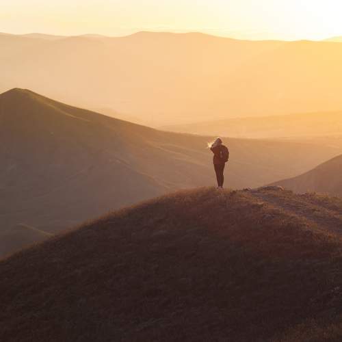 Photo #13706334
