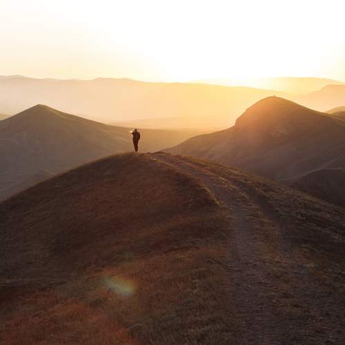Photo #13706335