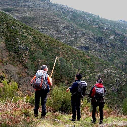 Photo #13706351