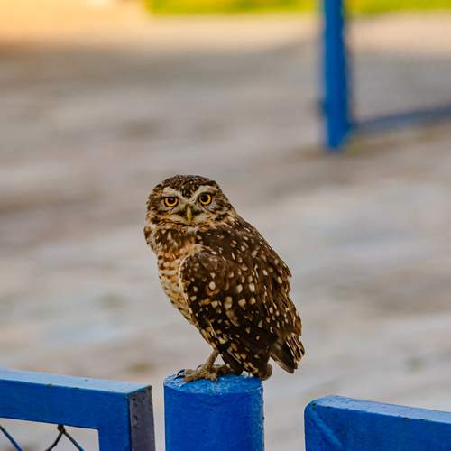Photo #13706356