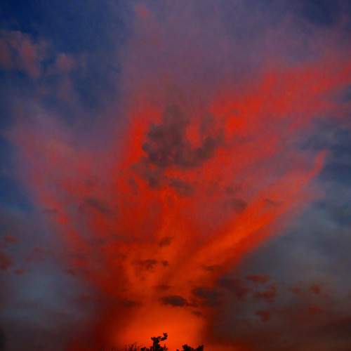 Photo #13706390