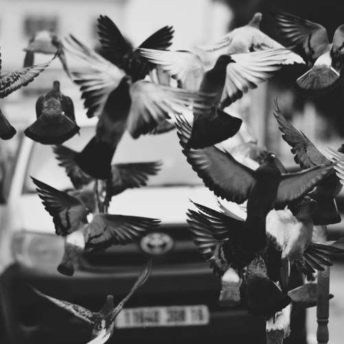 Photo #13706407