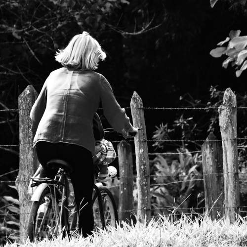 Photo #13706442