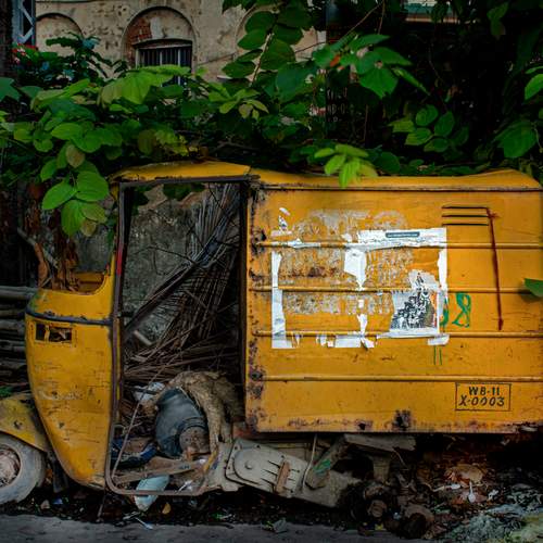Photo #13706493