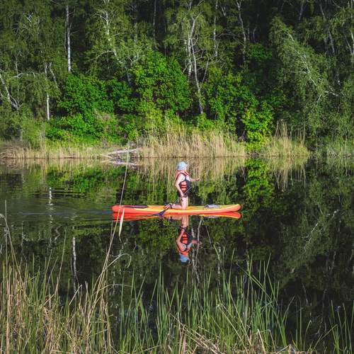 Photo #13706494
