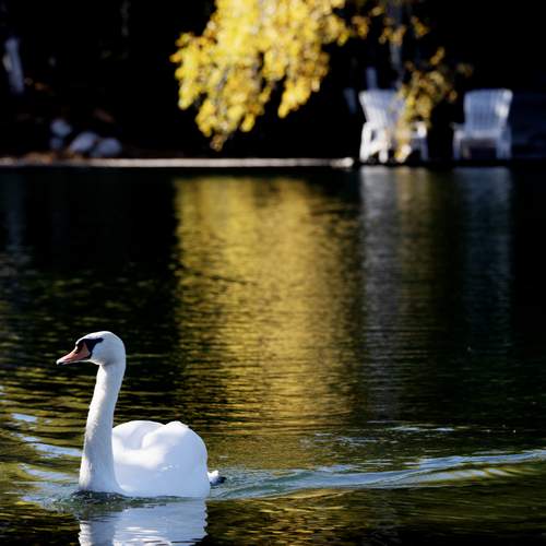 Photo #13706539