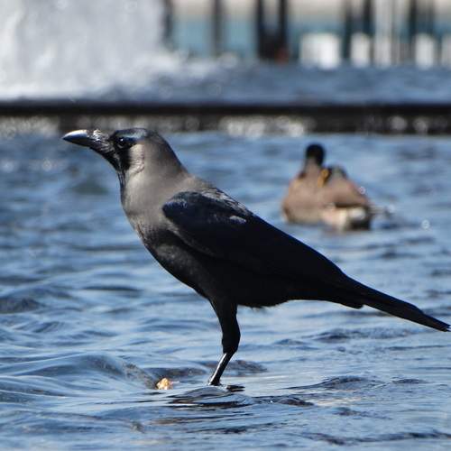 Photo #13706559