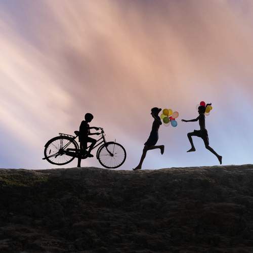 Photo #13706634
