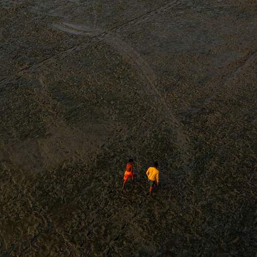 Photo #13706635