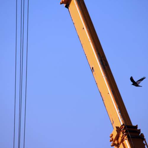 Photo #13706648