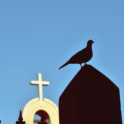 Photo #13706652