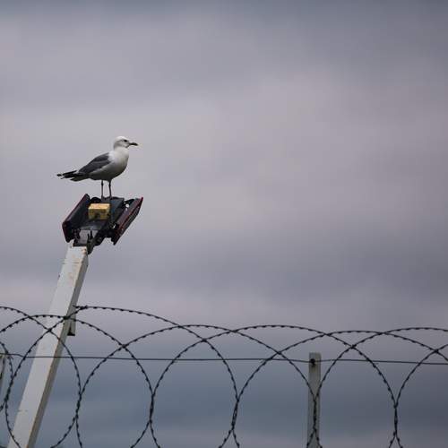 Photo #13706714