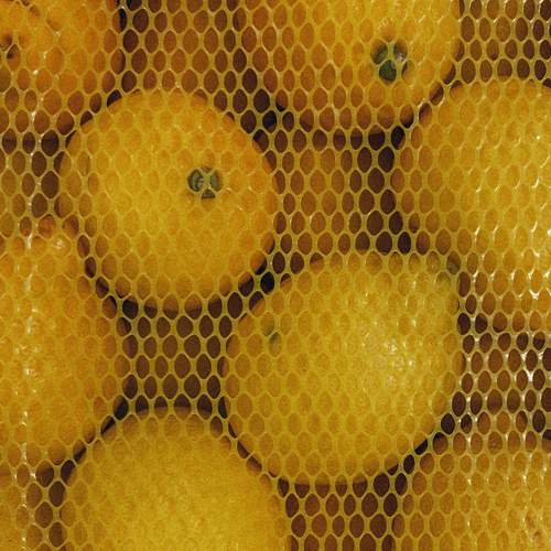 Photo #13706726