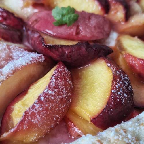 Photo #13706765