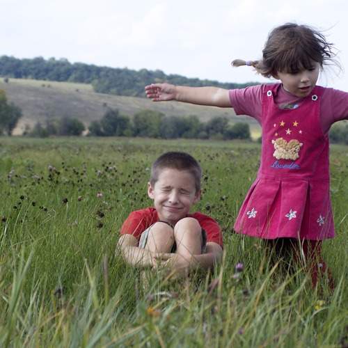 Photo #13706768