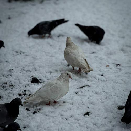 Photo #13706837