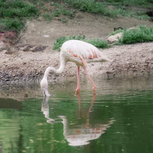 Photo #13706923