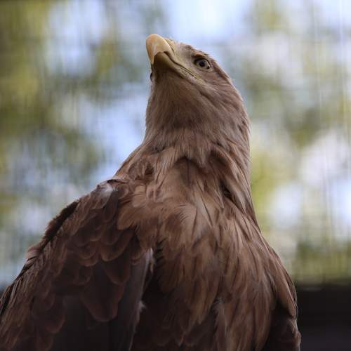 Photo #13706924