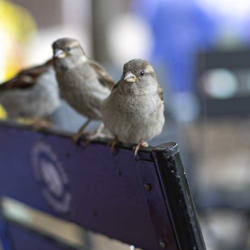 Photo #13706925
