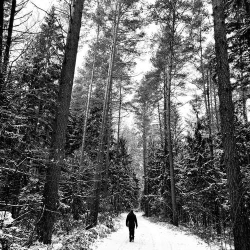 Photo #13706947