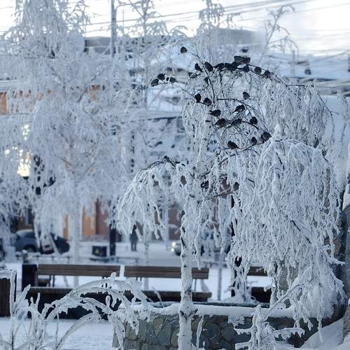 Photo #13707059