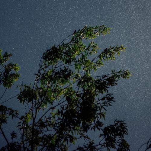 Photo #13707078