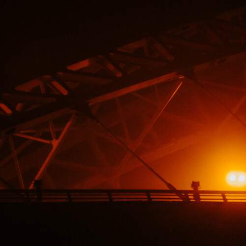 Photo #13707101