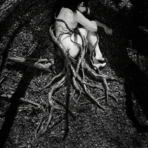 Photo #13707110