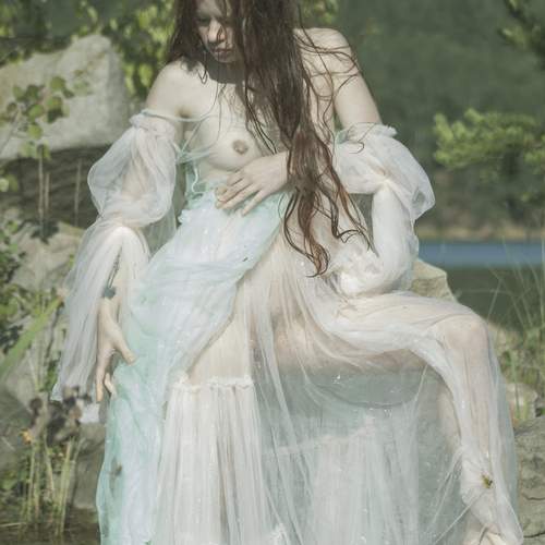 Photo #13707203