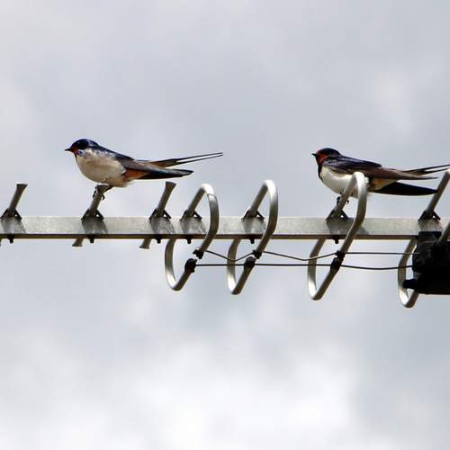 Photo #13707227
