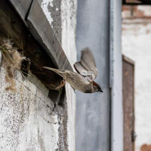 Photo #13707237