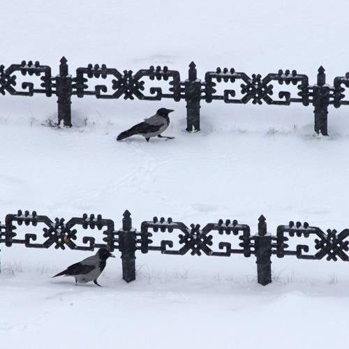 Photo #13707248
