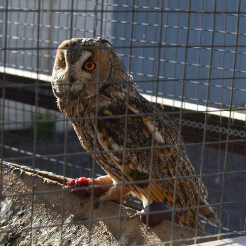 Photo #13707297
