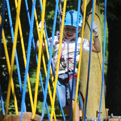 Photo #13707344