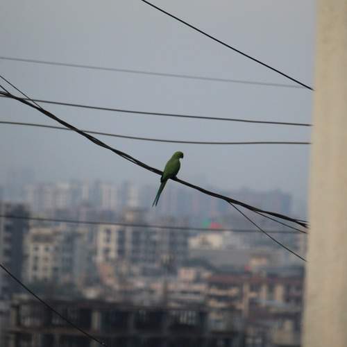 Photo #13707358