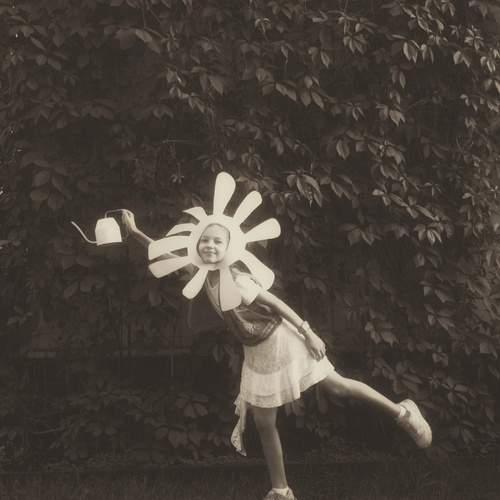 Photo #13707363