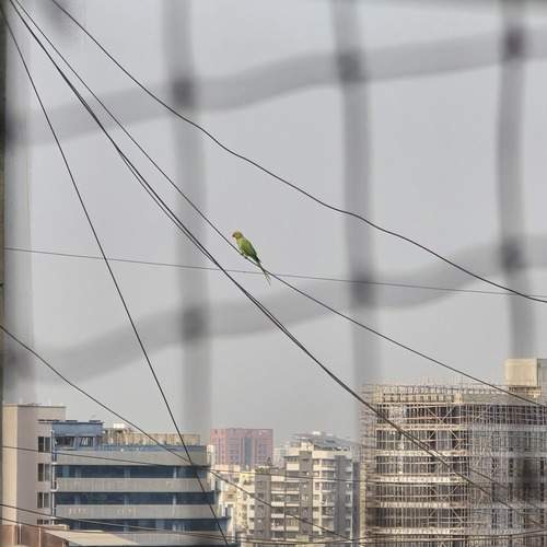 Photo #13707364