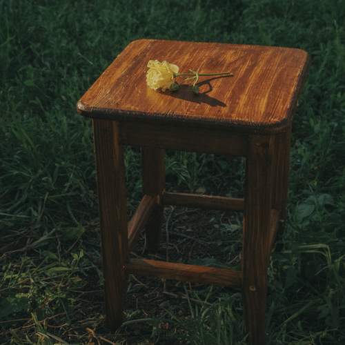 Photo #13707429