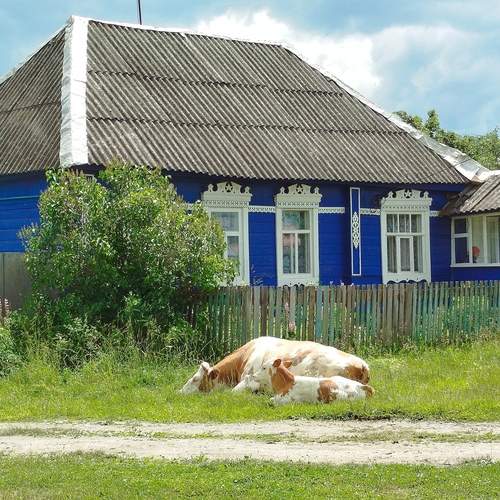 Деревенский пейзаж
