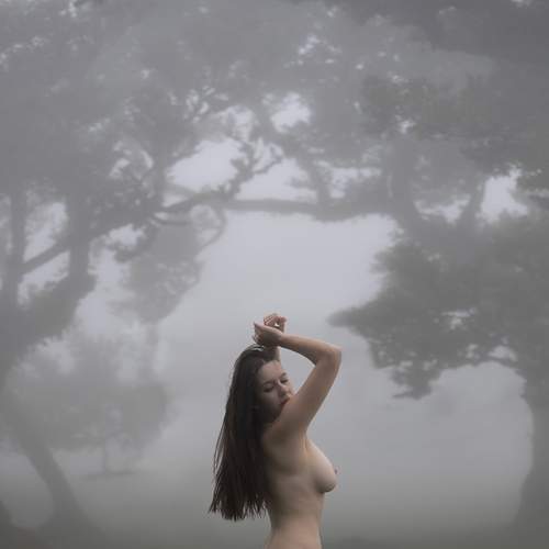 Photo #13707439