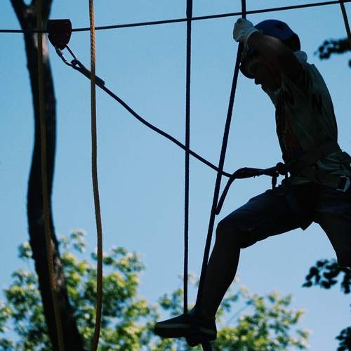 Photo #13707443