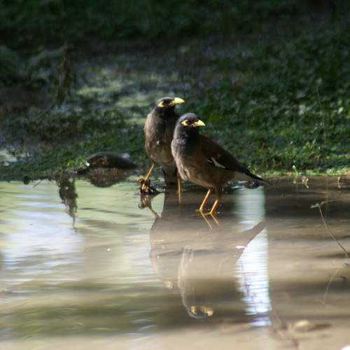 Photo #13707640