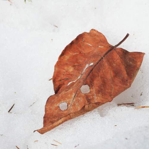 Photo #13707642