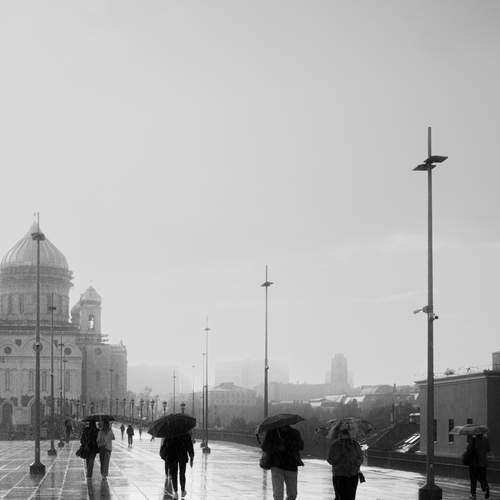 Photo #13707673