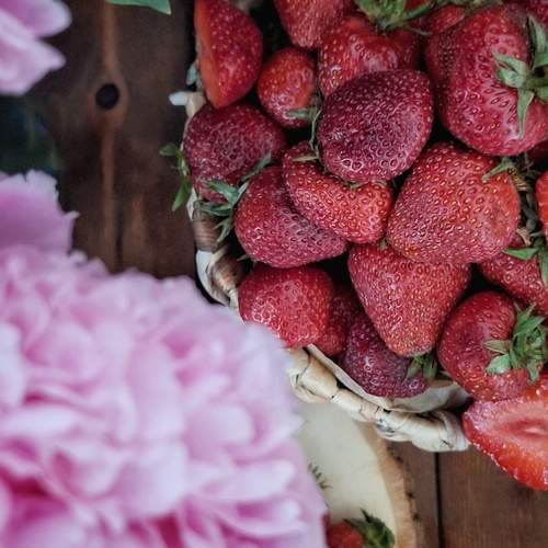 Photo #13707835