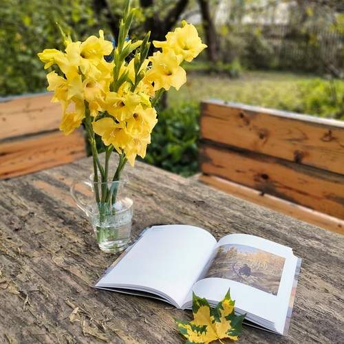 Photo #13707856